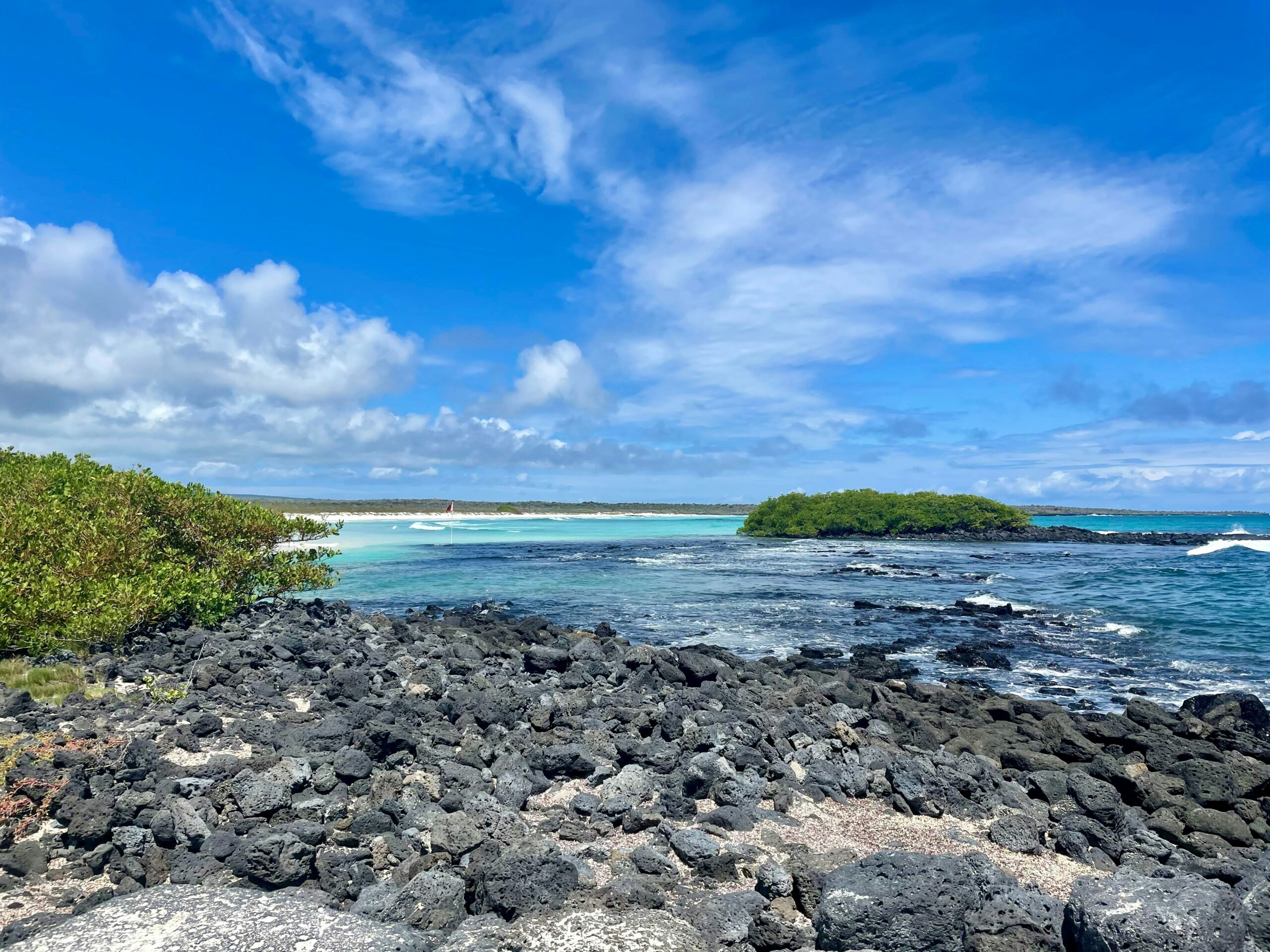 galapagos