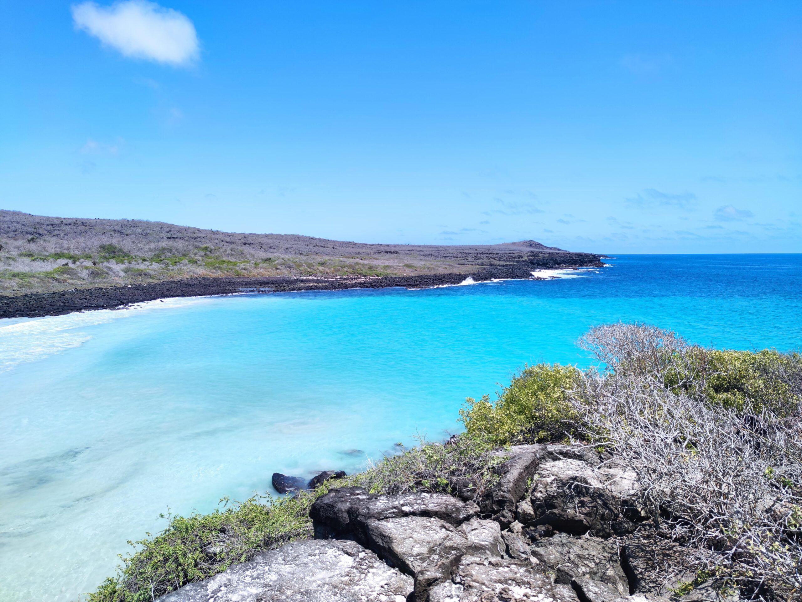 galápagos